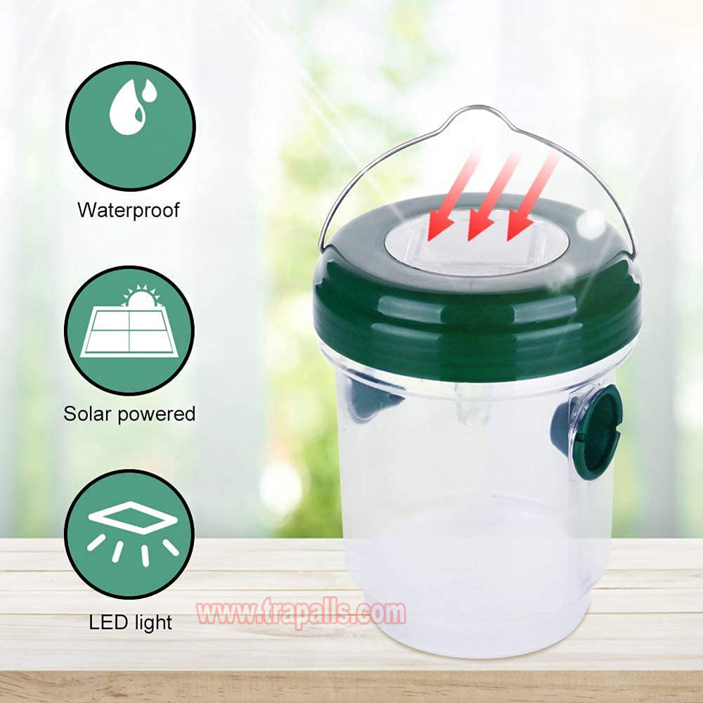 Outdoor High Eco-Friendly Hanging Funnel Fruit Fly Mosquito Catcher Wasp Bottle Trap - Image 3