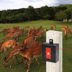Garden Solar PIR Sensor Skunk Deterrent Deer Repellent Predator Eye Ultrasonic Animal Repeller - Image 11