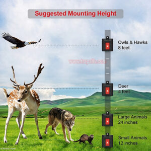 Garden Solar PIR Sensor Skunk Deterrent Deer Repellent Predator Eye Ultrasonic Animal Repeller - Image 5