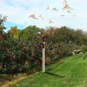 Garden Solar PIR Sensor Skunk Deterrent Deer Repellent Predator Eye Ultrasonic Animal Repeller - Image 10