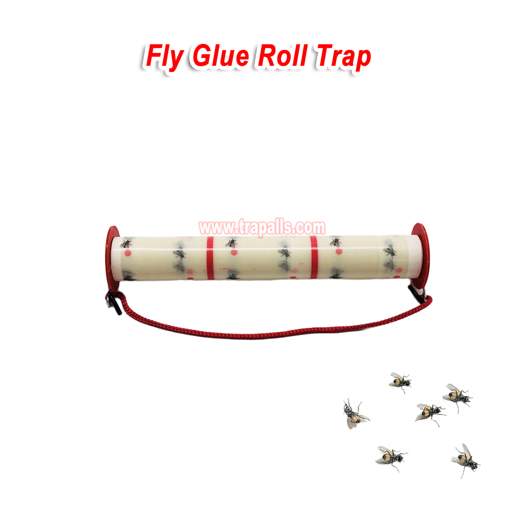 Indoor Disposable Insect Sticky Glue Board Catcher Roll Fly Trap - Image 5
