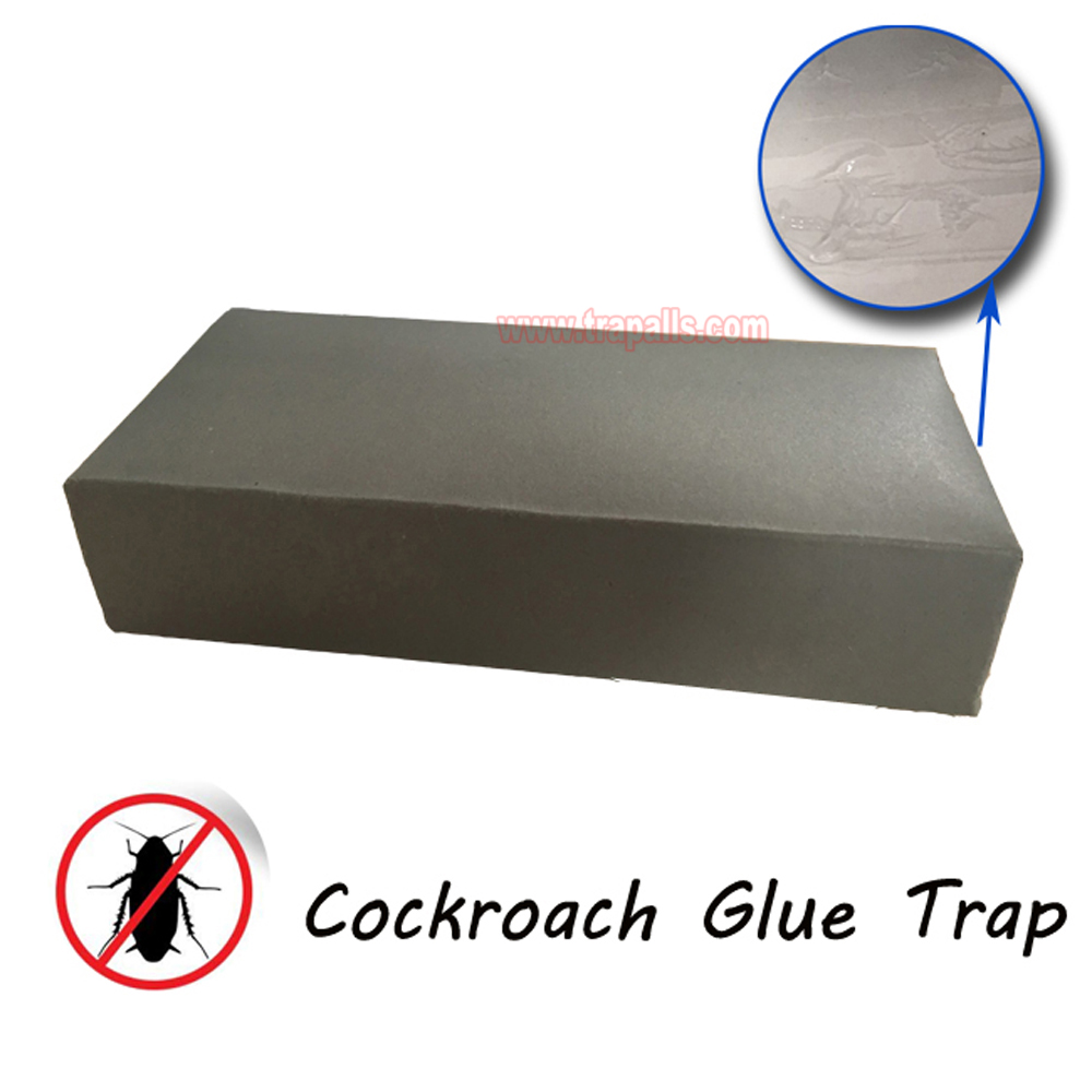 Indoor Non-Toxic Sticky Children and Pet Friendly Effective Sticky Glue Folding Board Cockroach Glue Trap - Image 2