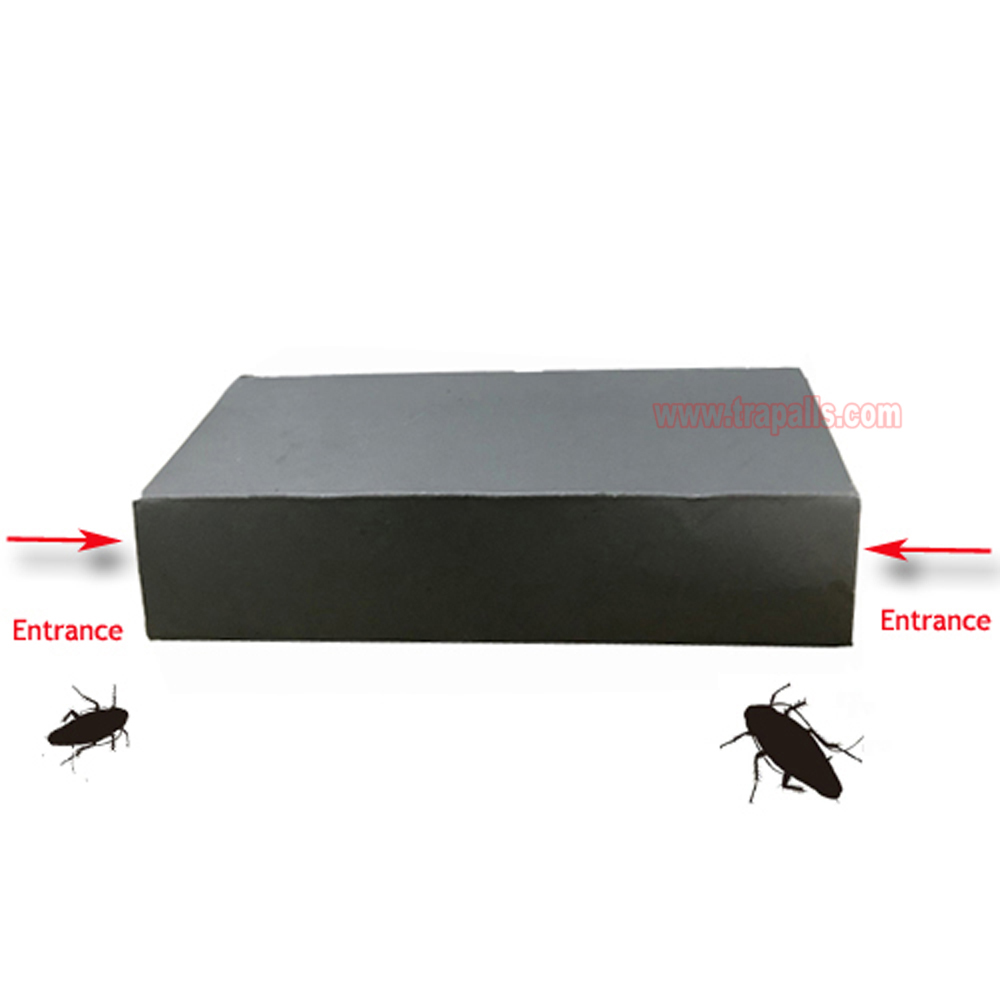 Indoor Non-Toxic Sticky Children and Pet Friendly Effective Sticky Glue Folding Board Cockroach Glue Trap - Image 4