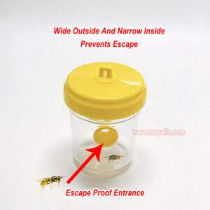 Outdoor Reusable Plastic Hanging Hornet Control Bee Catcher Wasp Bottle Trap - Image 5