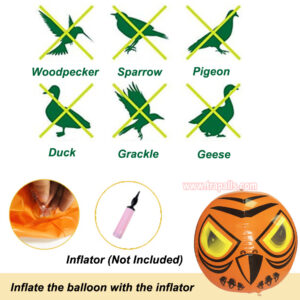 Outdoor Garden High-quality Inflatable Visual Terror Eyes Bird Scare Balloon Repellent Bird Repeller - Image 8