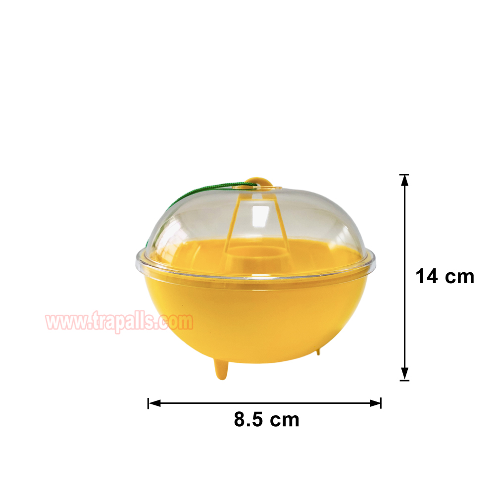 Orchard Garden Reusable Hanging Tall Funnel Design Prevents Spillage Hornet Control Fly Catcher Wasp Trap - Image 3