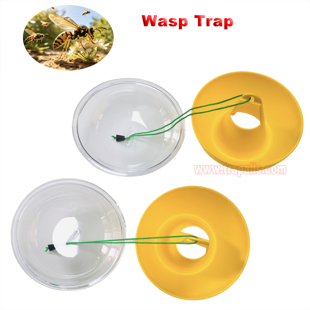 Orchard Garden Reusable Hanging Tall Funnel Design Prevents Spillage Hornet Control Fly Catcher Wasp Trap - Image 4