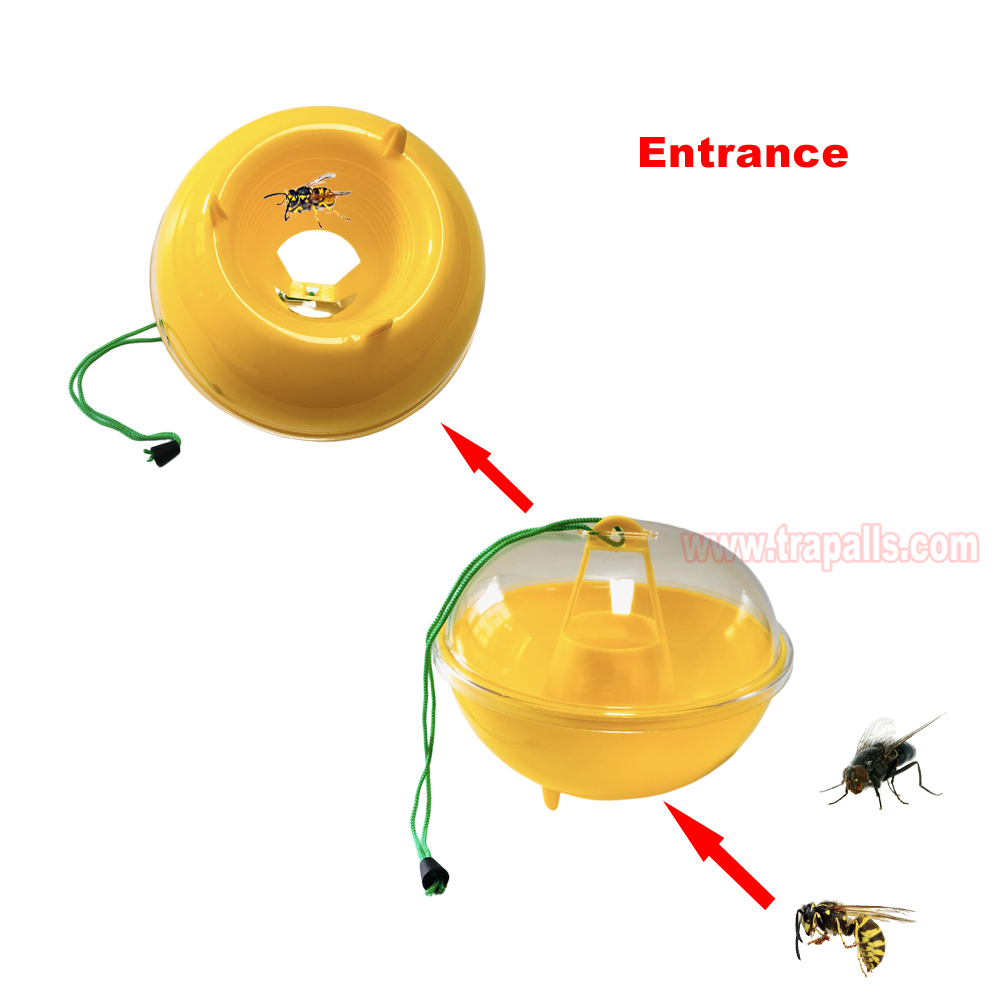 Orchard Garden Reusable Hanging Tall Funnel Design Prevents Spillage Hornet Control Fly Catcher Wasp Trap - Image 5