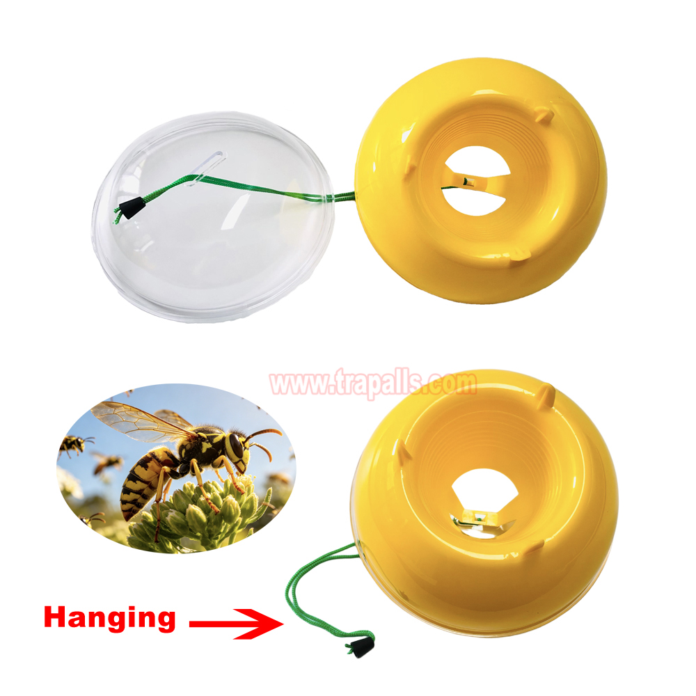 Orchard Garden Reusable Hanging Tall Funnel Design Prevents Spillage Hornet Control Fly Catcher Wasp Trap - Image 6