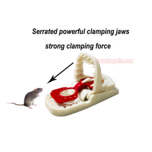 Indoor Humane Reusable Plastic Quick Catch Pest Control Mouse Snap Trap with Teeth Edge - Image 6