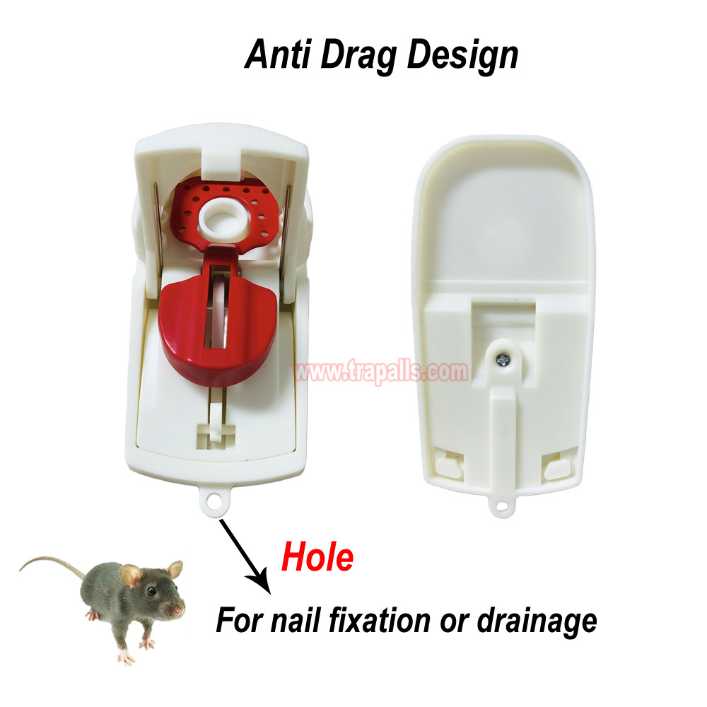 Indoor Humane Reusable Plastic Quick Catch Pest Control Mouse Snap Trap with Teeth Edge - Image 8