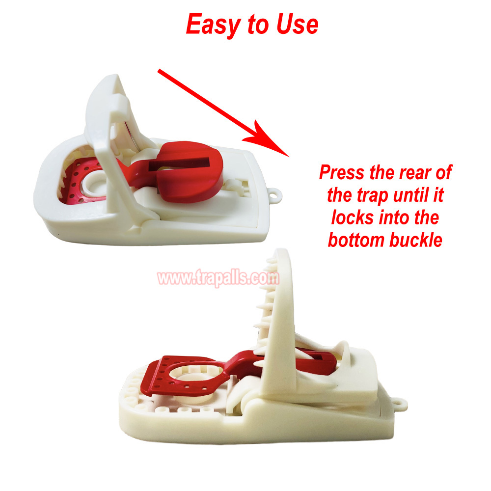 Indoor Humane Reusable Plastic Quick Catch Pest Control Mouse Snap Trap with Teeth Edge - Image 9