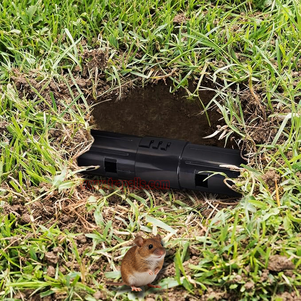 Garden Lawn Two Check Openings Humane Catch and Release Live Gopher Vole Adjustable Length Mole Trap - Image 12
