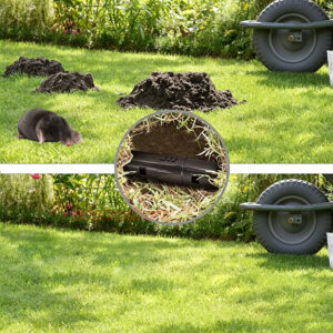 Garden Lawn Two Check Openings Humane Catch and Release Live Gopher Vole Adjustable Length Mole Trap - Image 14