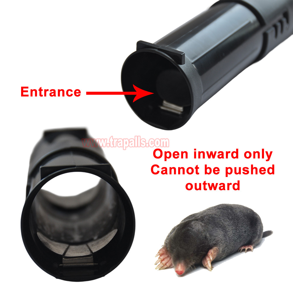Garden Lawn Two Check Openings Humane Catch and Release Live Gopher Vole Adjustable Length Mole Trap - Image 5