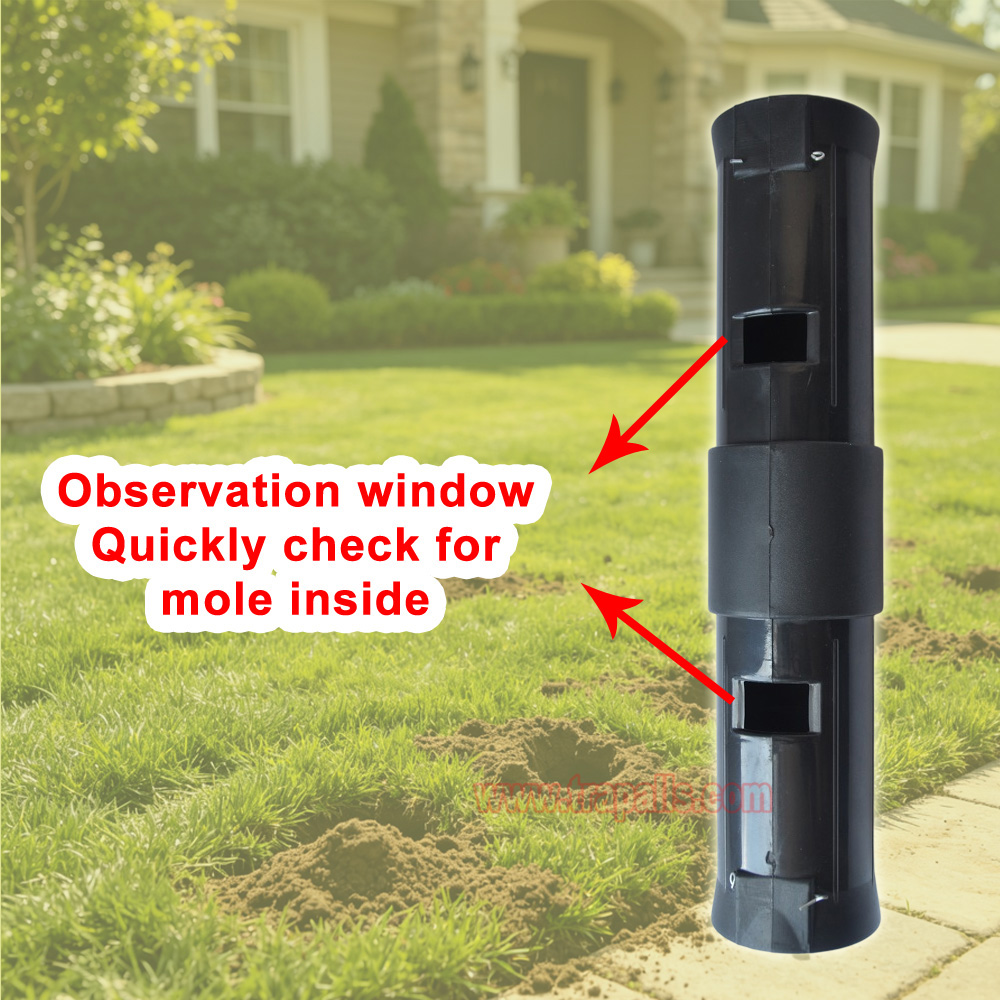 Garden Lawn Two Check Openings Humane Catch and Release Live Gopher Vole Adjustable Length Mole Trap - Image 7