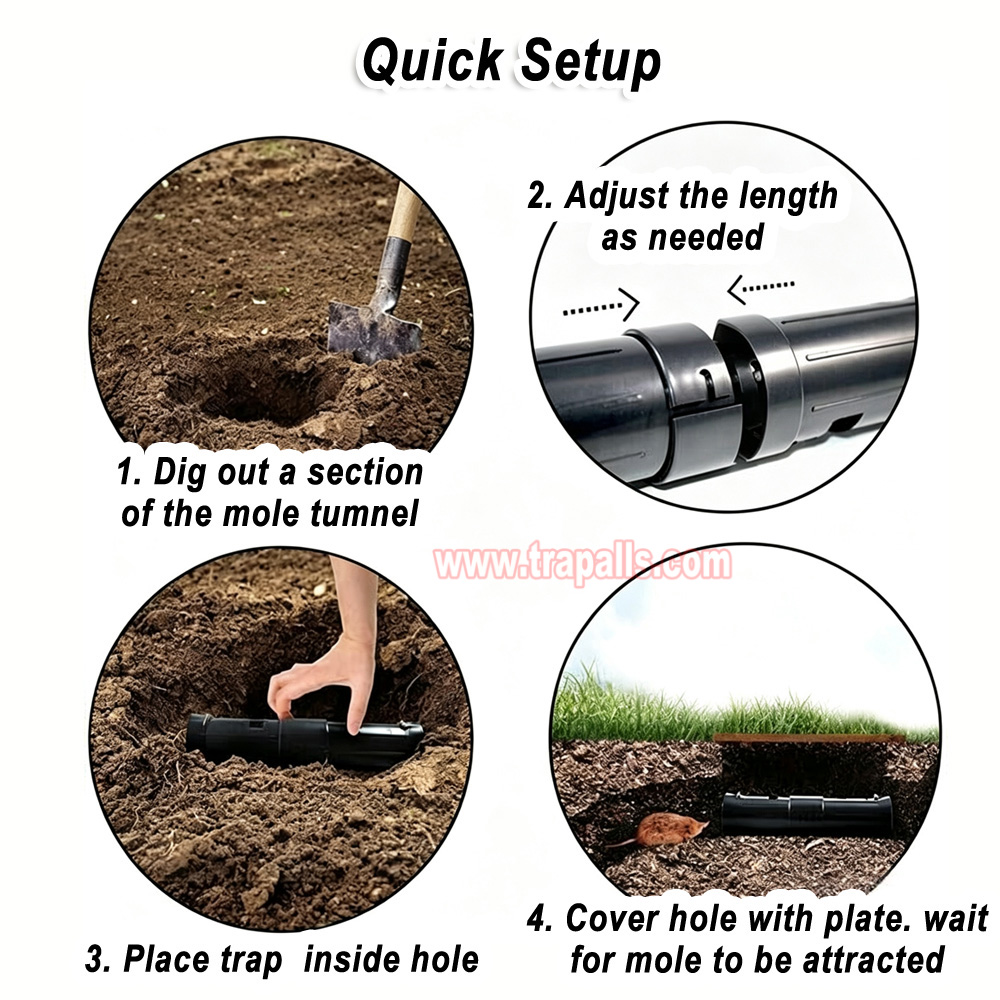 Garden Lawn Two Check Openings Humane Catch and Release Live Gopher Vole Adjustable Length Mole Trap - Image 9