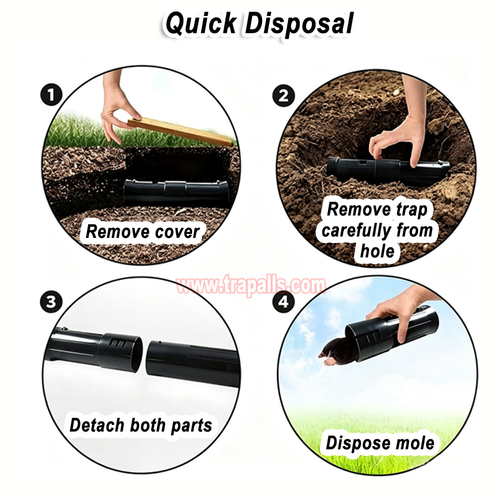 Garden Lawn Two Check Openings Humane Catch and Release Live Gopher Vole Adjustable Length Mole Trap - Image 10