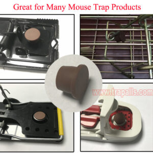 Indoor Outdoor Chocolate Peanut Flavor Plastic Mouse Bait Lure Attractant - Image 5