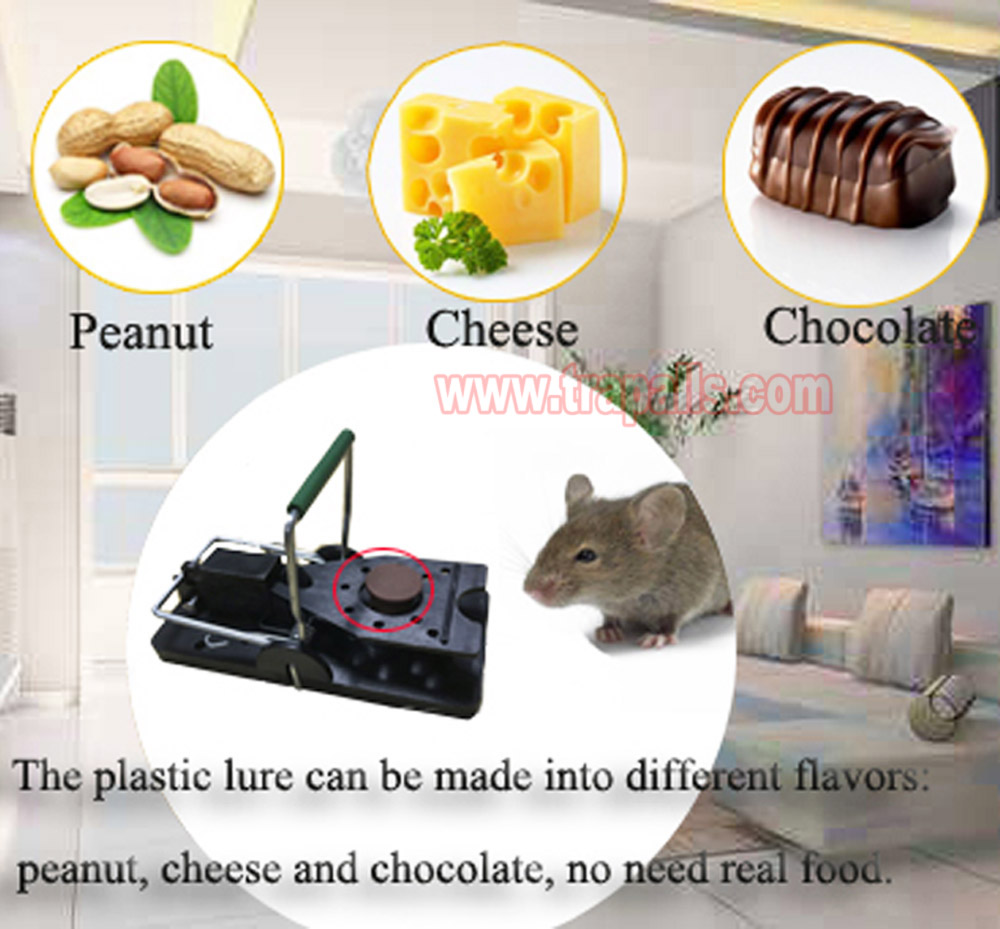 Indoor Outdoor Chocolate Peanut Flavor Plastic Mouse Bait Lure Attractant - Image 9