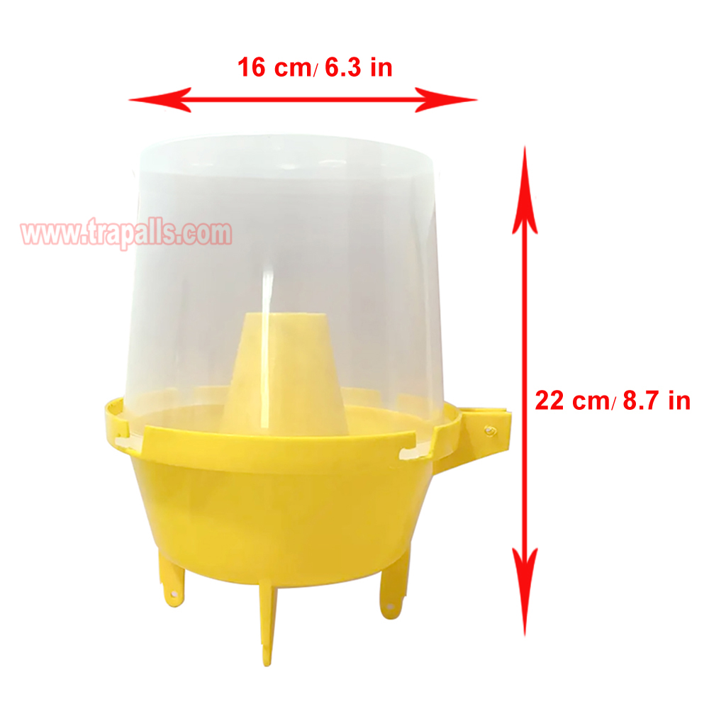 Outdoor Plastic Hanging Multi Pest Control Escape-Proof Inverted Cone Fly Catcher Fruit Fly Trap - Image 3