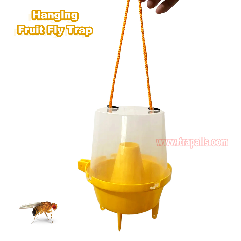 Outdoor Plastic Hanging Multi Pest Control Escape-Proof Inverted Cone Fly Catcher Fruit Fly Trap - Image 4