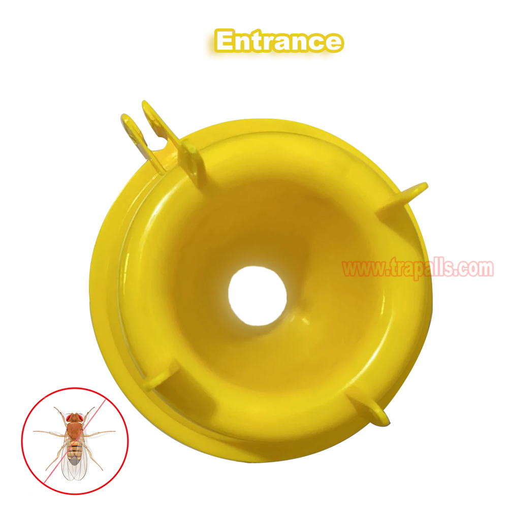 Outdoor Plastic Hanging Multi Pest Control Escape-Proof Inverted Cone Fly Catcher Fruit Fly Trap - Image 5