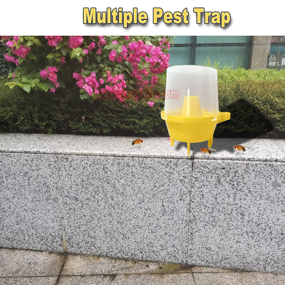 Outdoor Plastic Hanging Multi Pest Control Escape-Proof Inverted Cone Fly Catcher Fruit Fly Trap - Image 6