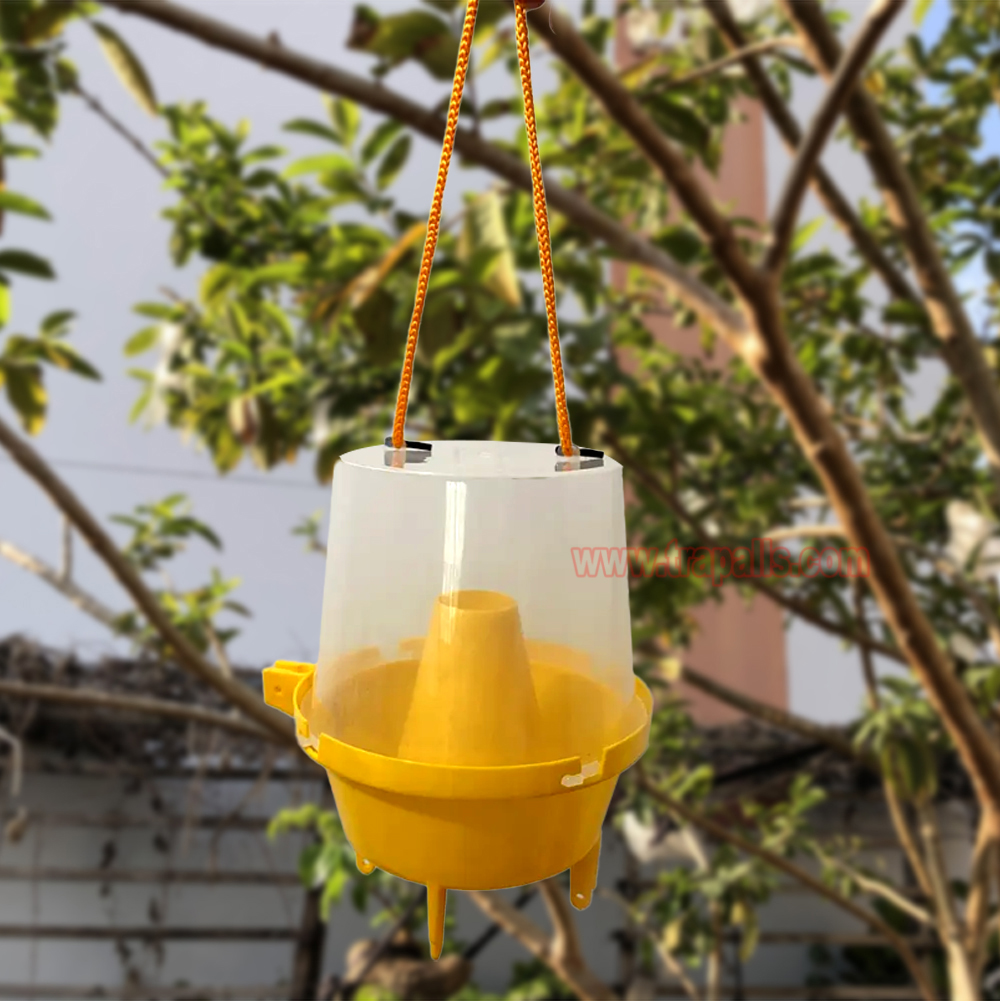 Outdoor Plastic Hanging Multi Pest Control Escape-Proof Inverted Cone Fly Catcher Fruit Fly Trap - Image 7