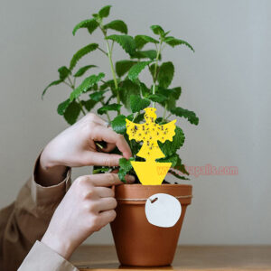 Garden House Plant Bug Insect Killer Moth Gnat Control Yellow Sticky Card Fruit Fly Glue Trap - Image 5