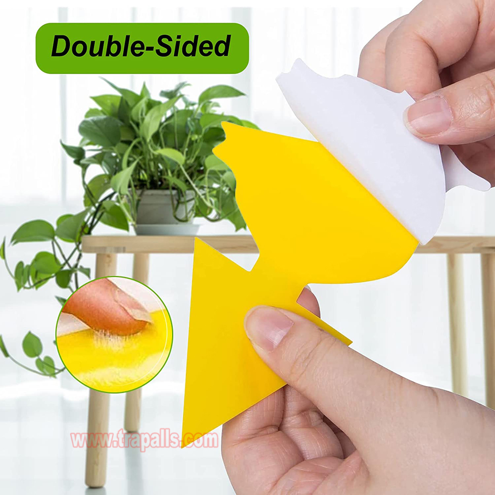 Garden House Plant Bug Insect Killer Moth Gnat Control Yellow Sticky Card Fruit Fly Glue Trap - Image 6