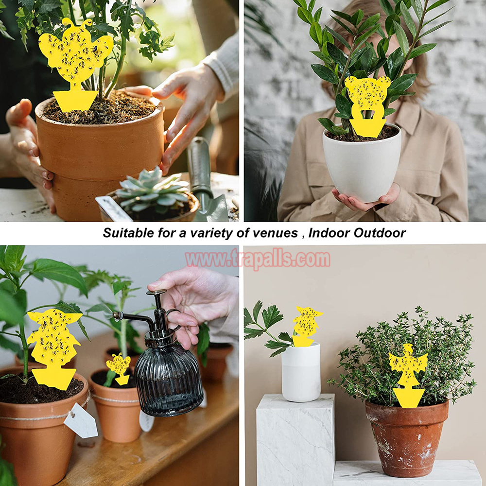 Garden House Plant Bug Insect Killer Moth Gnat Control Yellow Sticky Card Fruit Fly Glue Trap - Image 7