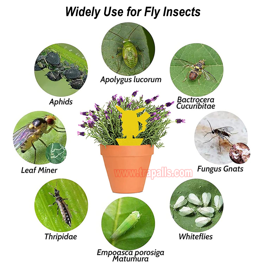 House Garden Plant Bug Fungus Gnat Insect Catcher Yellow Sticky Fruit Fly Glue Trap - Image 4