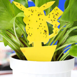 House Garden Plant Bug Fungus Gnat Insect Catcher Yellow Sticky Fruit Fly Glue Trap - Image 5