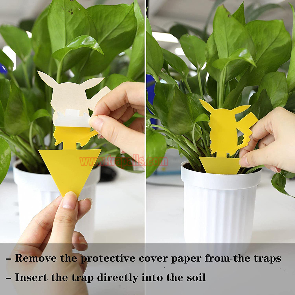 House Garden Plant Bug Fungus Gnat Insect Catcher Yellow Sticky Fruit Fly Glue Trap - Image 6