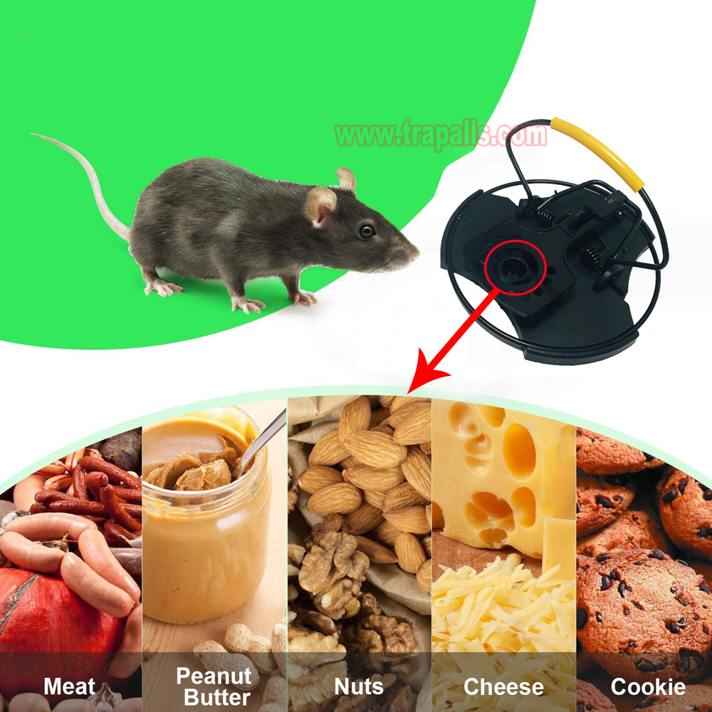 Indoor Outdoor Durable Effective Plastic Quick Killer Rat Rodent Catcher Mouse Snap Trap - Image 7