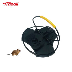 Indoor Outdoor Durable Effective Plastic Quick Killer Rat Rodent Catcher Mouse Snap Trap
