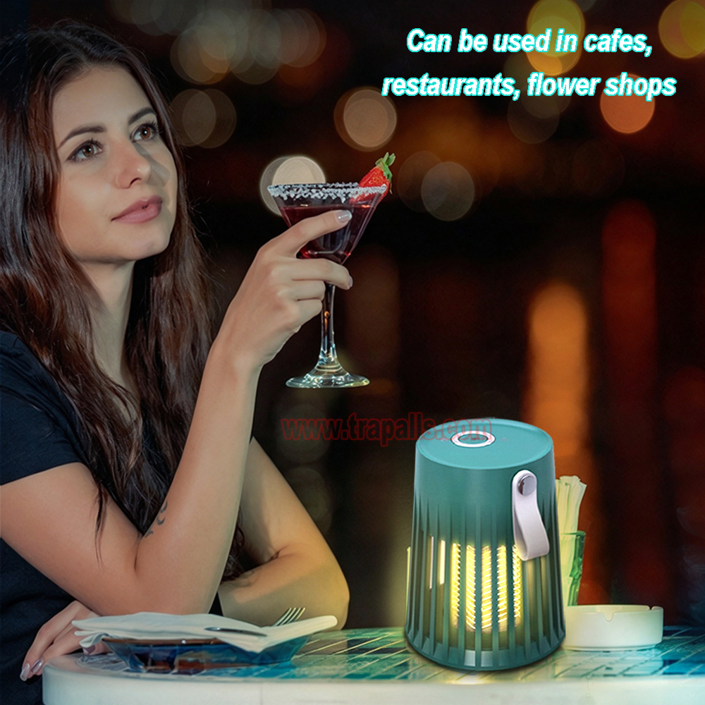 Indoor Outdoor Portable UV Light Flying Insect Repeller Electric Mosquito Killer Lamp - Image 8