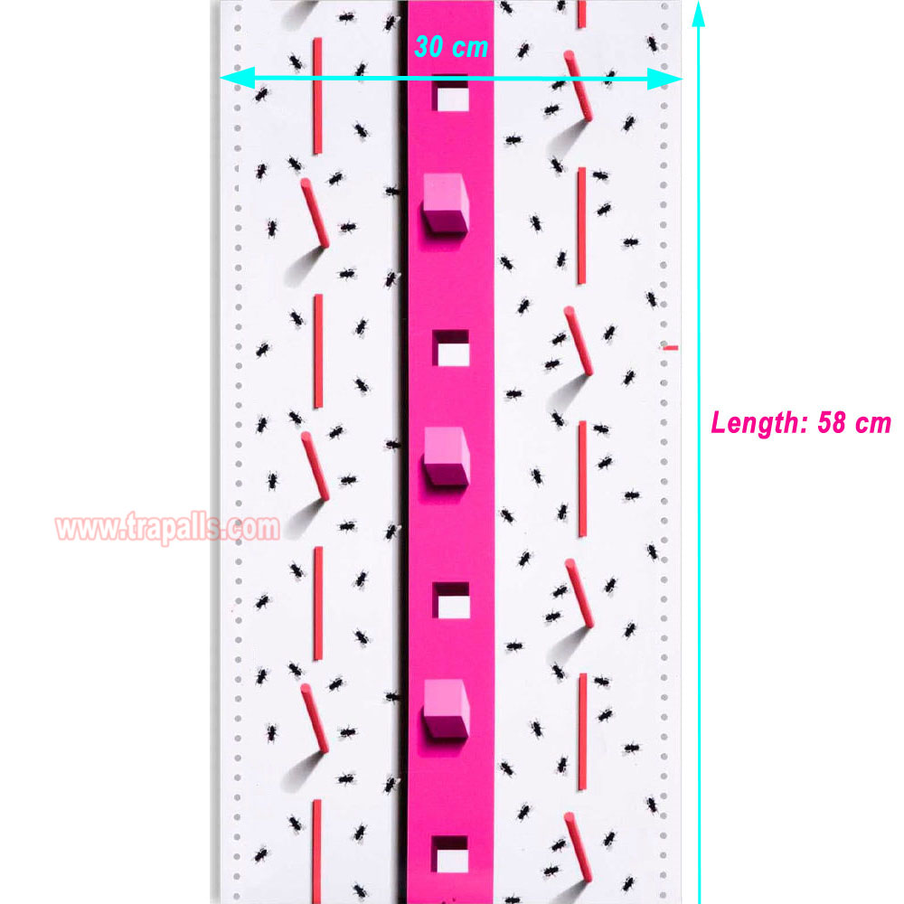 Indoor Home Hanging Bug Catcher Adhesive Sticker Pest Glue Sheet Window Glue Fly Trap - Image 3