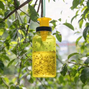 Outdoor Garden Hanging Reusable Pest Control Bottle Trap Wasp Catcher Wasp & Fly Trap - Image 9