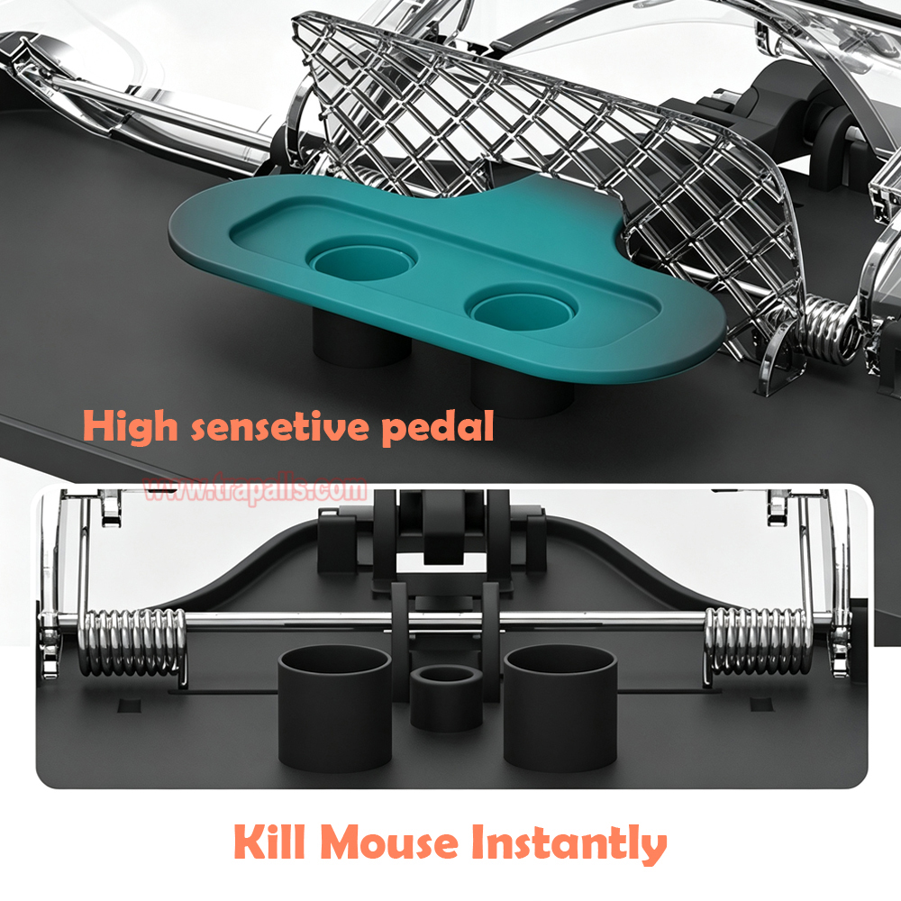 Indoor Warehouse Humane Live Mouse Catch Trap Effective High Sensitive Mouse Trap Cage - Image 7