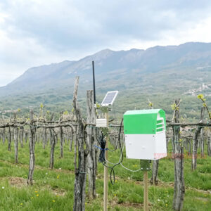 Garden Solar Intelligent Monitoring Flying Insect Control Pest Killer Electronic Insect Glue Trap - Image 11