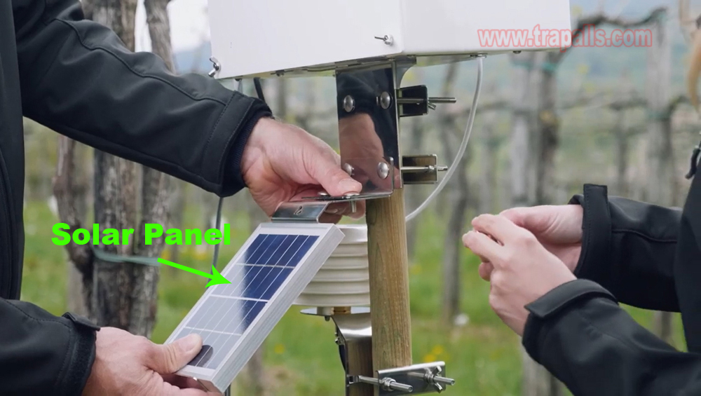 Garden Solar Intelligent Monitoring Flying Insect Control Pest Killer Electronic Insect Glue Trap - Image 14