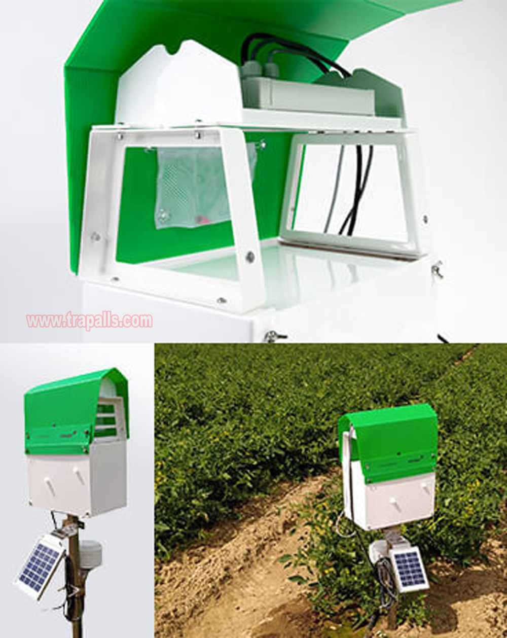 Garden Solar Intelligent Monitoring Flying Insect Control Pest Killer Electronic Insect Glue Trap - Image 10