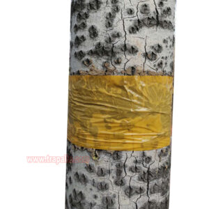 Trees Bug Red Spider Moth Sticky Glue Catcher Insect Killer Sticky Glue Tape Trap - Image 2