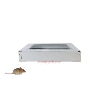 Multiple Catch Rat Capture Device with Glass Easy to Observe Rodent Bait Station Mouse Trap - Image 4