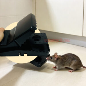 Reusable Plastic Rodent Control Quick Set Snap Big Mouse Killer Rat Trap - Image 15