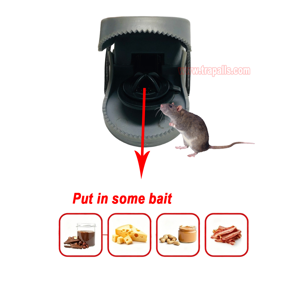 Indoor Kitchen Reusable Plastic Snap Mouse Trap Rodent Killer Catcher Mouse Snap Trap - Image 12