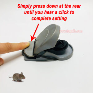 Indoor Kitchen Reusable Plastic Snap Mouse Trap Rodent Killer Catcher Mouse Snap Trap - Image 4