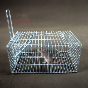 Indoor Outdoor Humane Design Rat Capture Live Catch Rodent Control Wire Mesh Cage Metal Mouse Trap Cage - Image 4